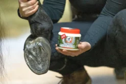 Leovet HOOF BALM Präbiotisch