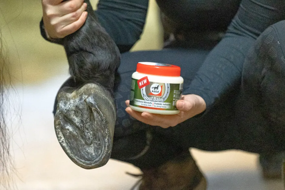 Leovet HOOF BALM Präbiotisch