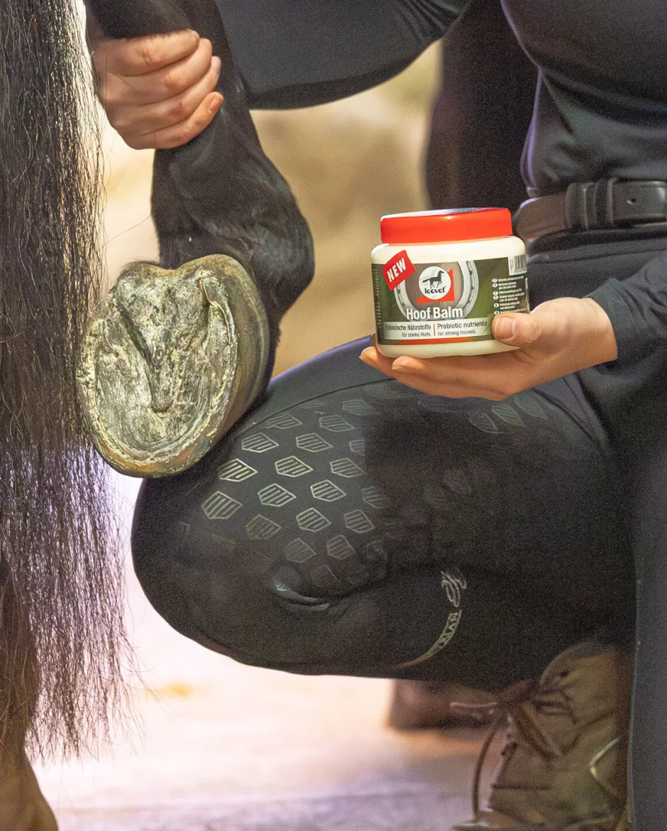 Leovet HOOF BALM Präbiotisch