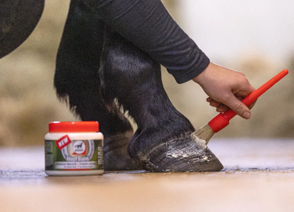 Leovet HOOF BALM Präbiotisch