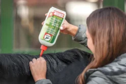 Leovet TEEBAUM-PFLEGELOTIO, 500 ml Flasche