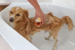 MagicBrush Badebürste