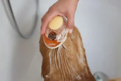 MagicBrush Badebürste