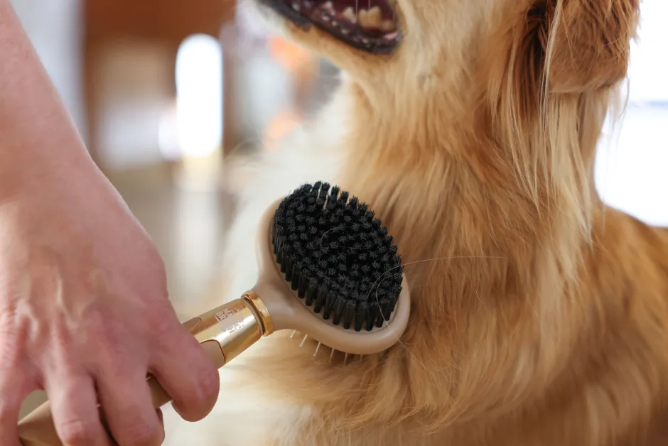 MagicBrush Doppelbürste