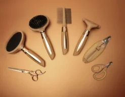 MagicBrush Fellkamm