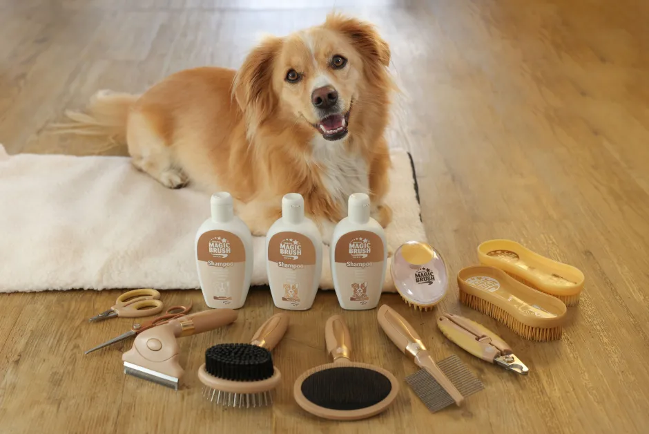 MagicBrush Hundeshampoo Anti-Odor