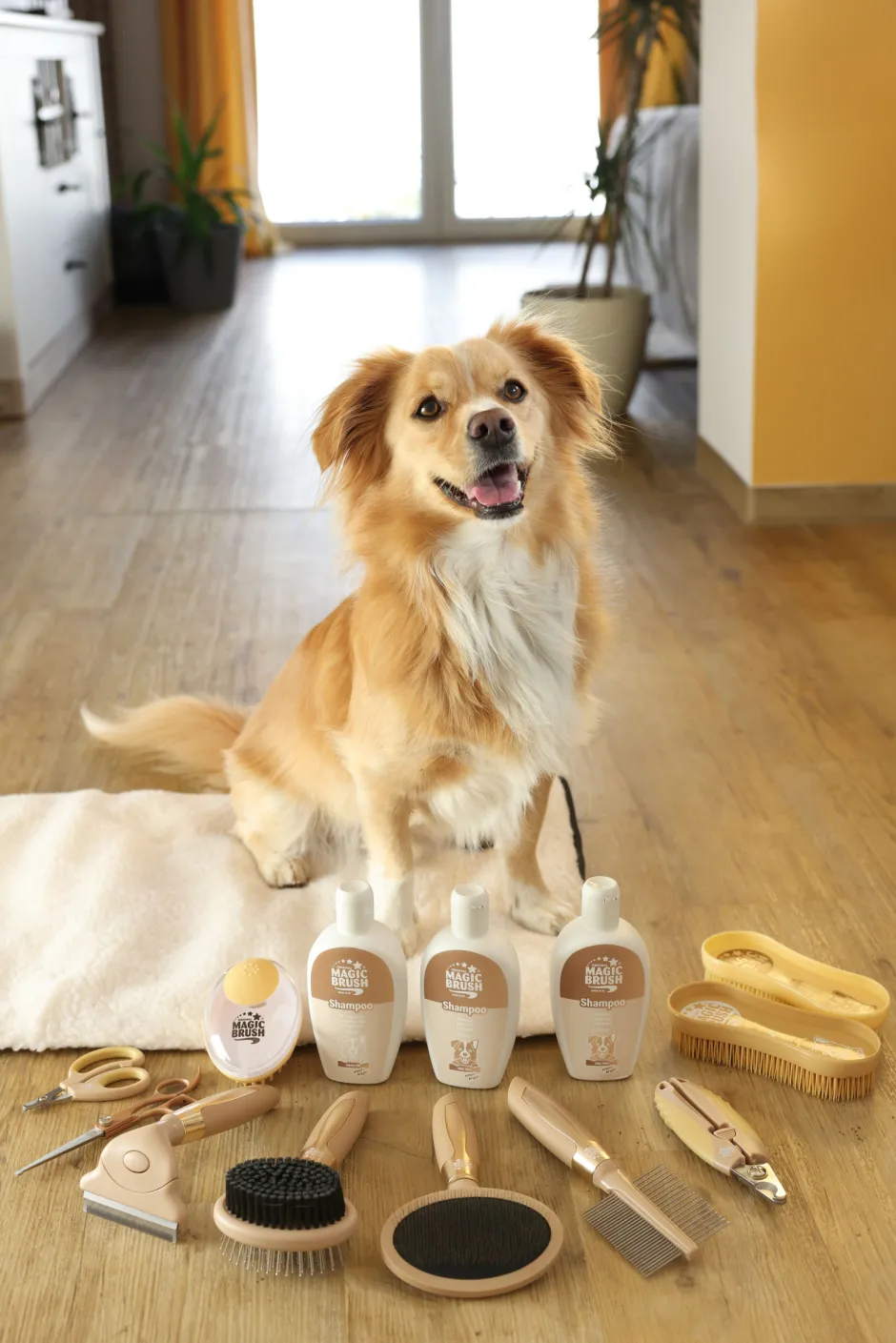 MagicBrush Hundeshampoo für dunkles Fell