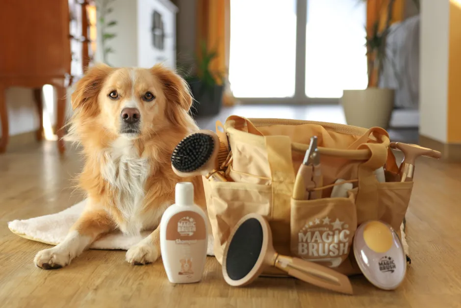 MagicBrush Hundeshampoo für helles Fell
