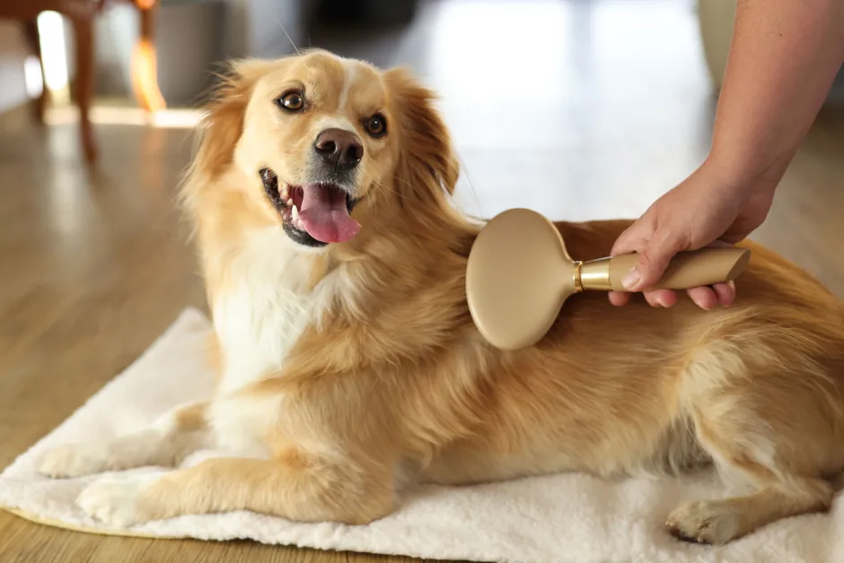 MagicBrush Softzupfbürste