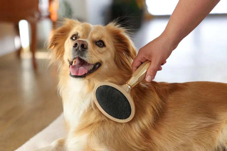 MagicBrush Softzupfbürste