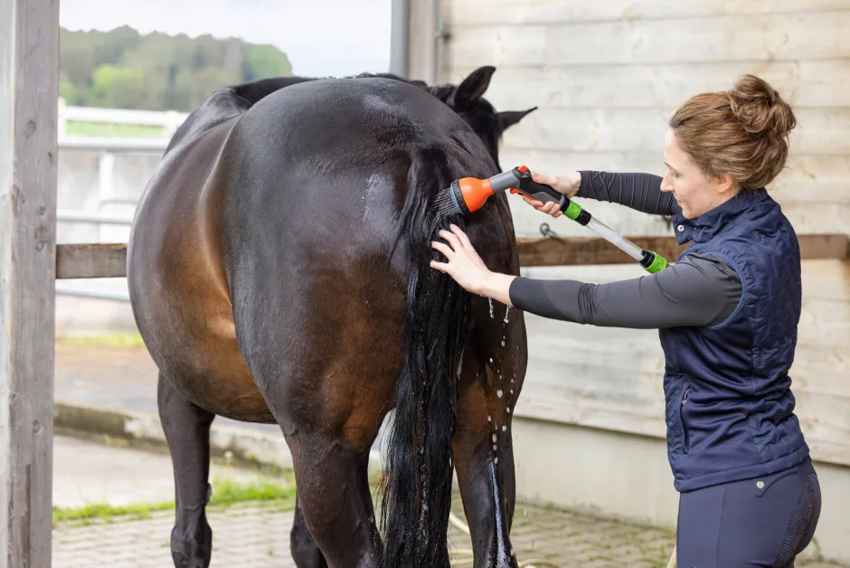 MagicBrush Pferde-Salzdusche Starterset