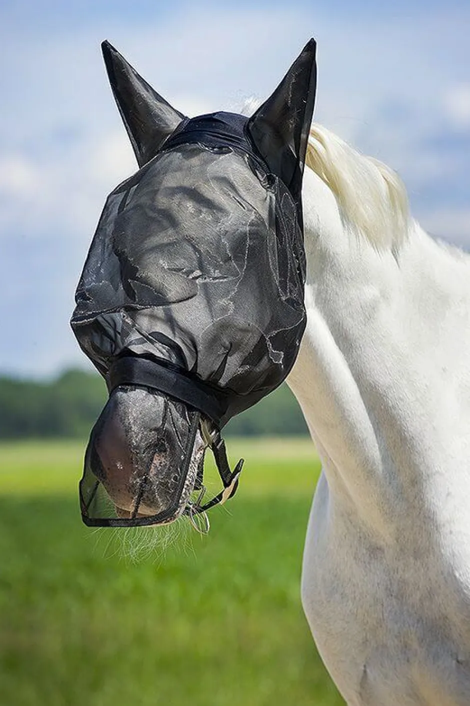 Netzfliegen Nüsternschutz, Warmblut, schwarz