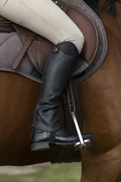 NORTON „Glitter Mini Chaps