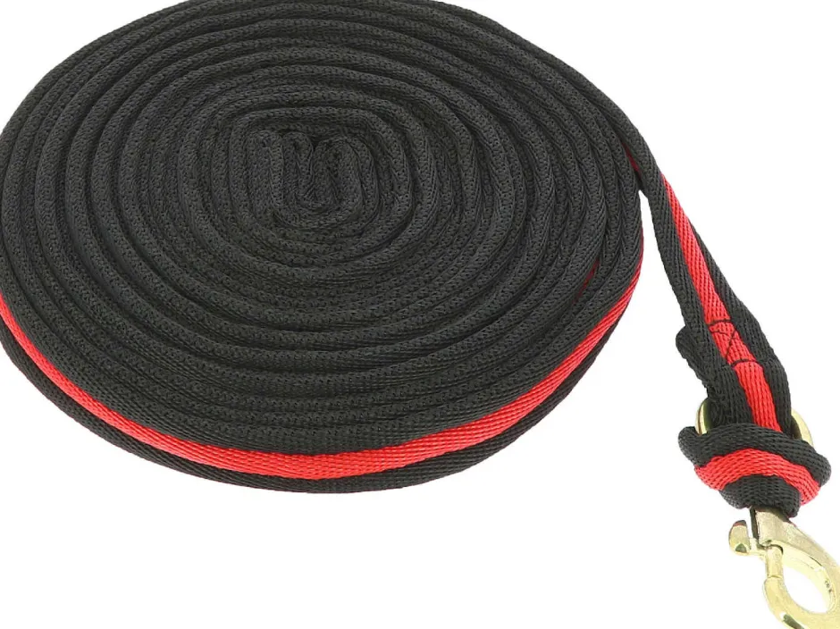 NORTON Longierleine, weich gepolstert