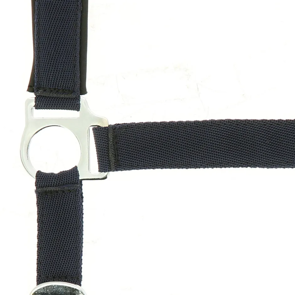 NORTON Nylon Halfter Neopren unterlegt