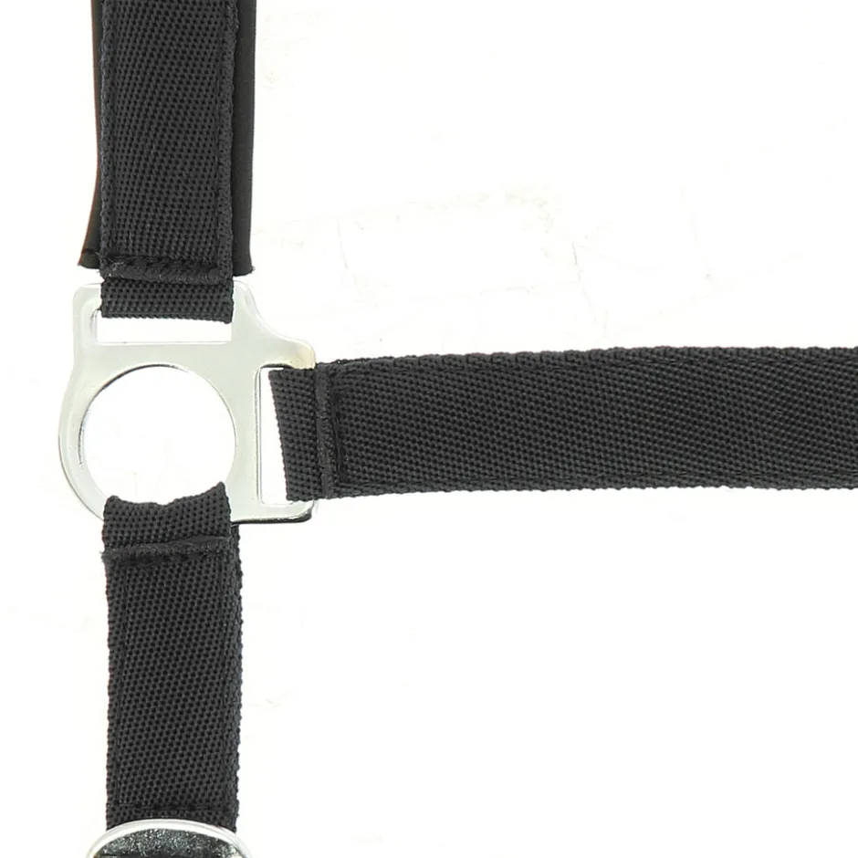 NORTON Nylon Halfter Neopren unterlegt