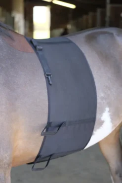 NORTON Sporenschutz