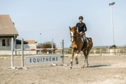 PRO SERIES Canter T-Shirt, lange Ärmel
