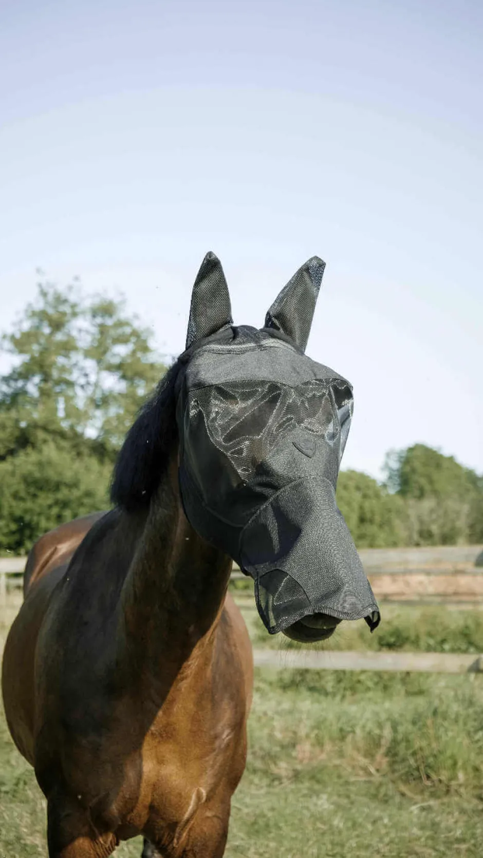 PRO SERIES Fliegenmaske mit UV-Schutz - Visor