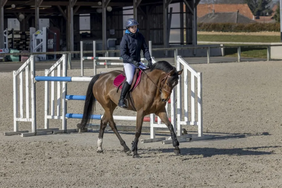 PRO SERIES Jacke Equilibre