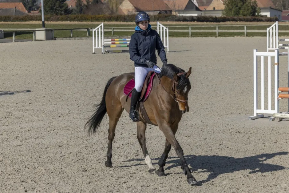 PRO SERIES Jacke Equilibre