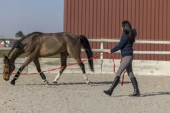 PRO SERIES Steppjacke Amble