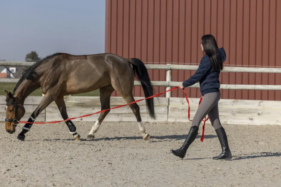 PRO SERIES Steppjacke Amble