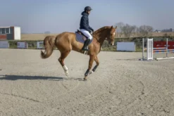 PRO SERIES Steppjacke Diagonal
