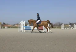 PRO SERIES Steppjacke Diagonal