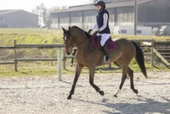 PRO SERIES Weste Piaffer