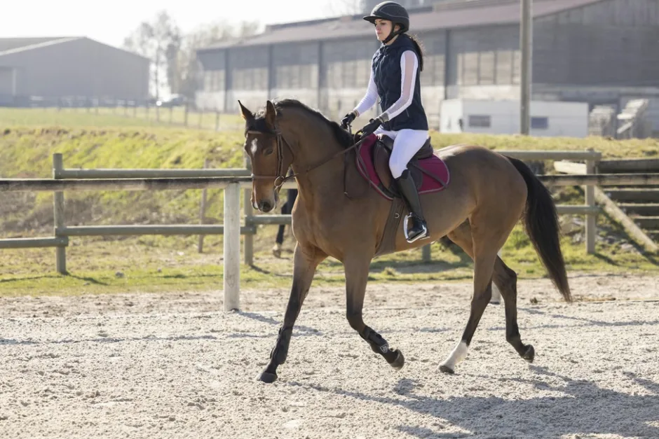 PRO SERIES Weste Piaffer