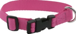 RIDING WORLD - Pat - Hundehalsband