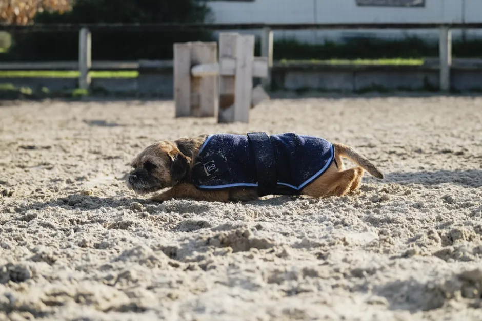 RIDING WORLD Fleecedecke für Hund
