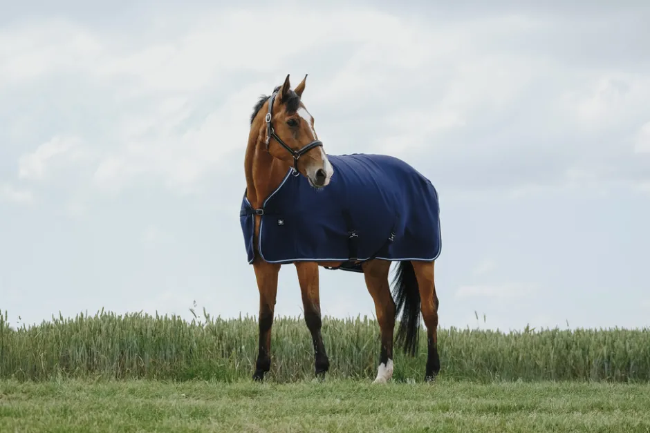 RIDING WORLD Abschwitzdecke