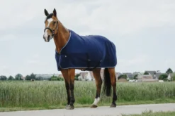 RIDING WORLD Abschwitzdecke