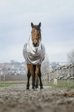 RIDING WORLD Anti-Ekzem-Decke