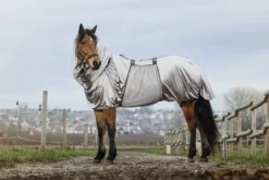RIDING WORLD Anti-Ekzem-Decke