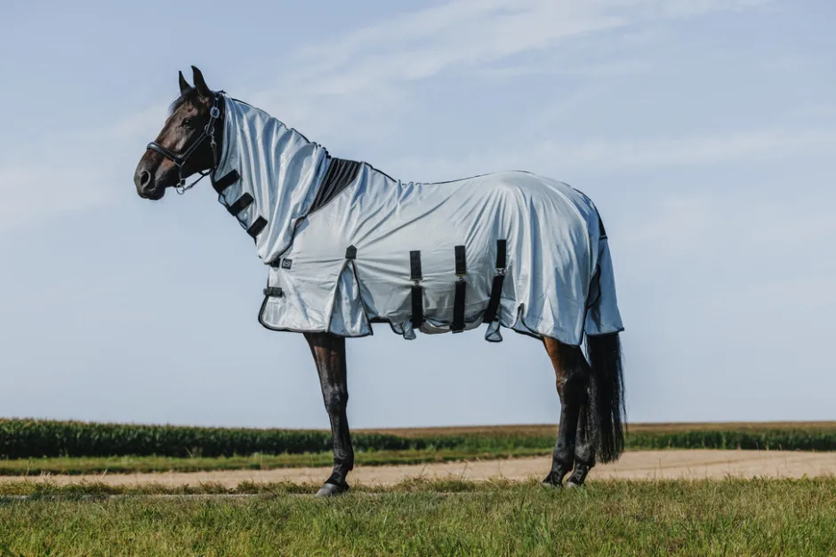 RIDING WORLD - Belly Mesh - Combo Decke