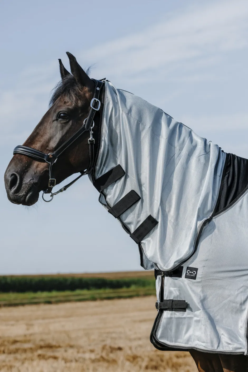 RIDING WORLD - Belly Mesh - Combo Decke