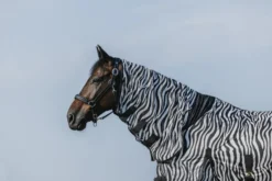 RIDING WORLD - Belly Mesh - Combo Decke