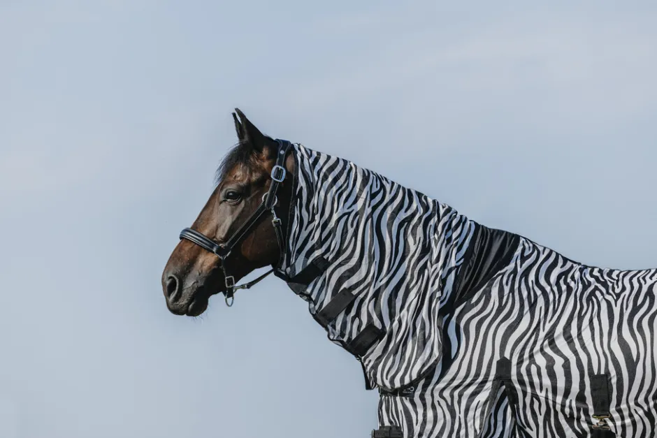 RIDING WORLD - Belly Mesh - Combo Decke