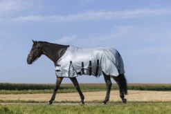 RIDING WORLD - Belly Mesh - Decke