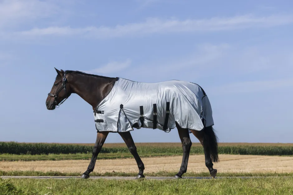 RIDING WORLD - Belly Mesh - Decke