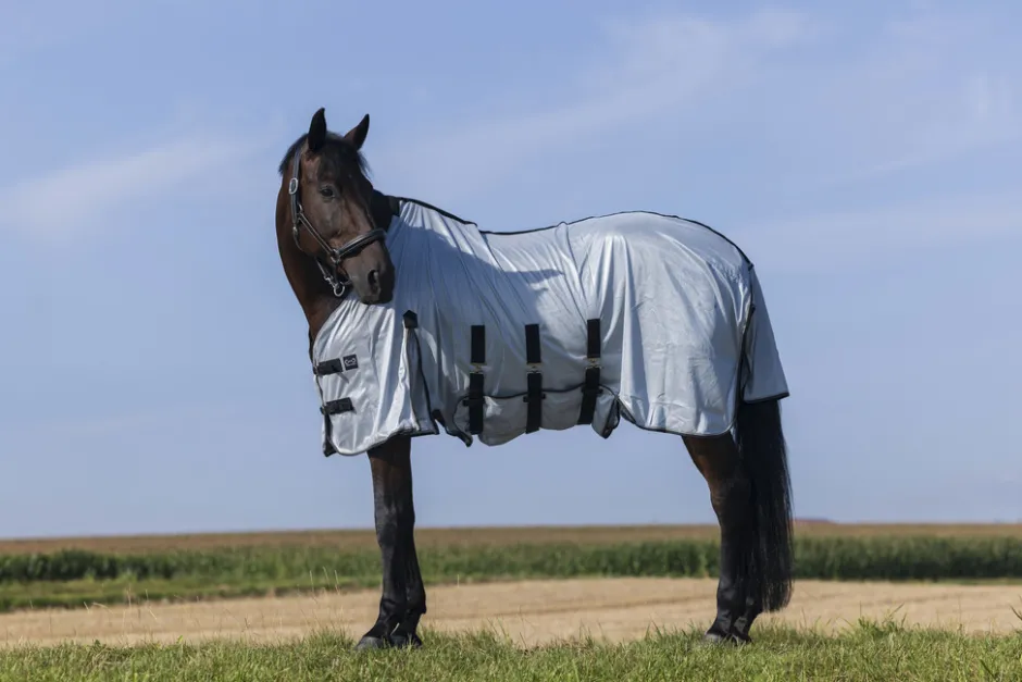 RIDING WORLD - Belly Mesh - Decke