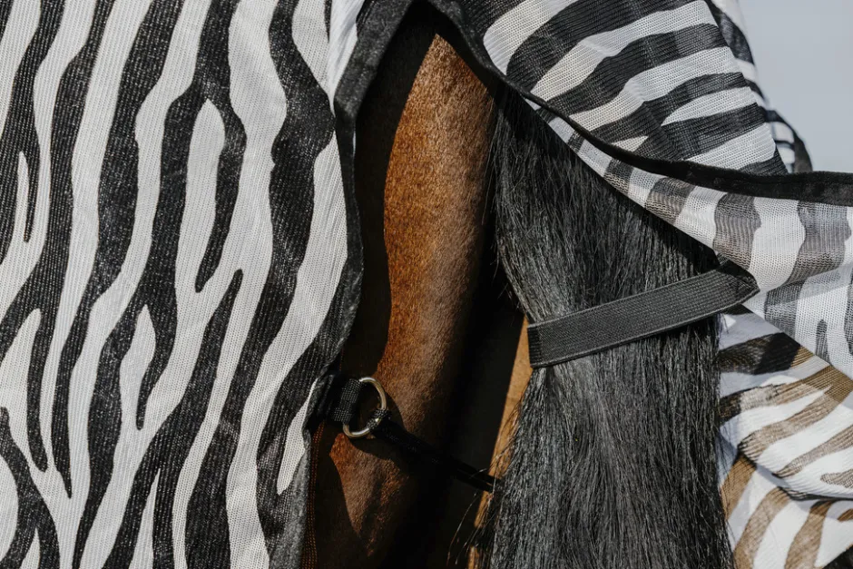 RIDING WORLD - Belly Mesh - Decke