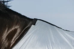 RIDING WORLD - Belly Mesh - Decke