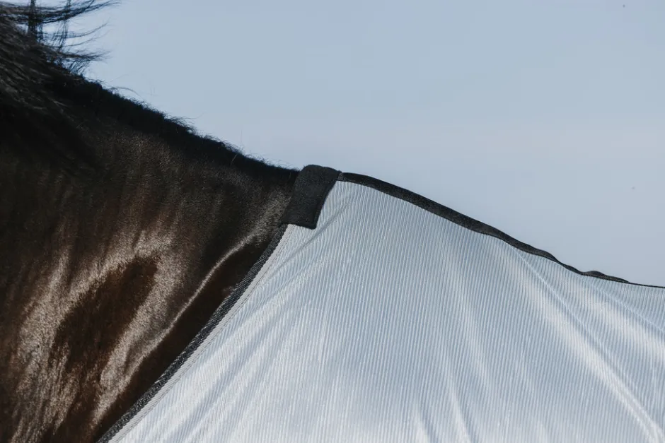 RIDING WORLD - Belly Mesh - Decke