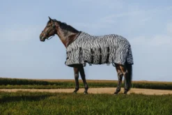 RIDING WORLD - Belly Mesh - Decke