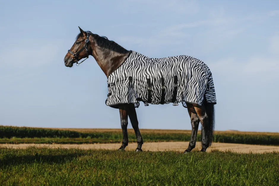 RIDING WORLD - Belly Mesh - Decke
