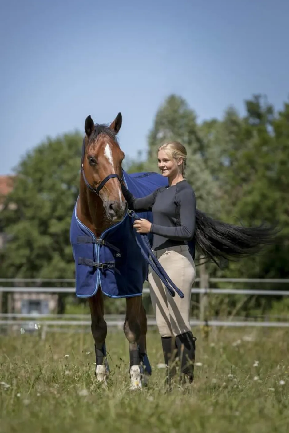 RIDING WORLD „Club“ Halfter und Anbindestrick Set